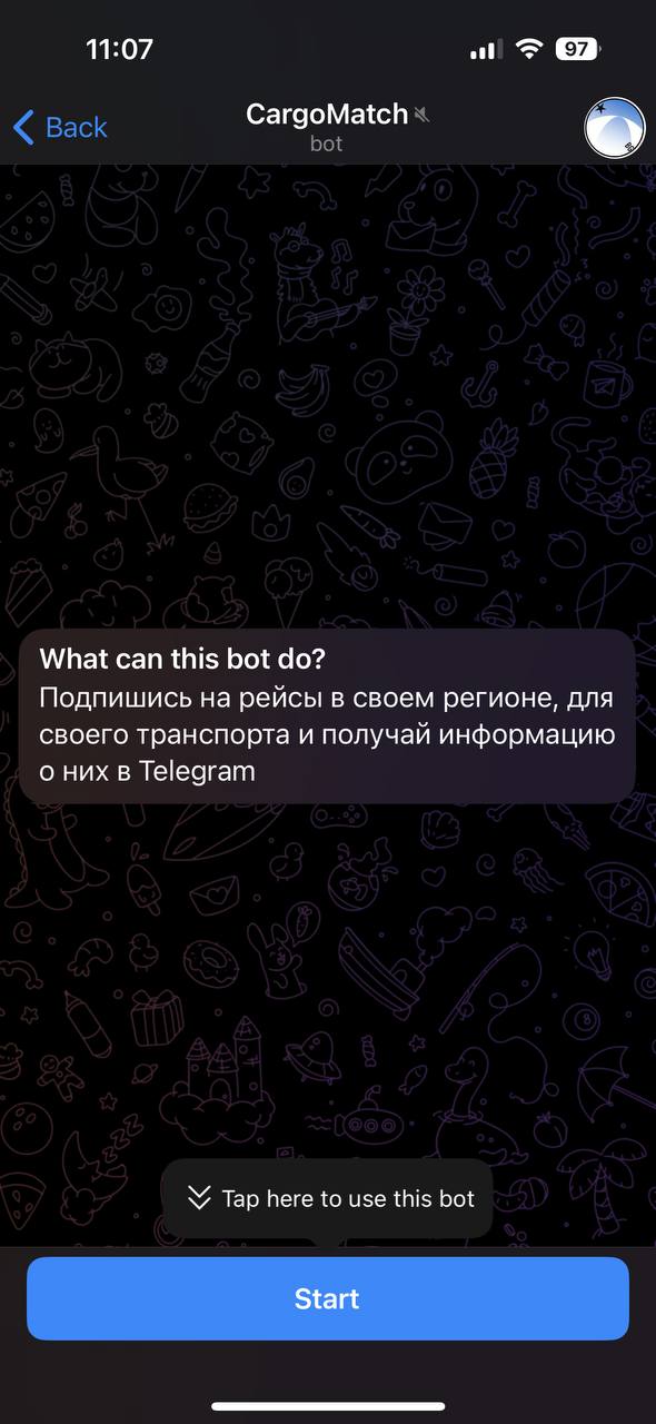 Шаг 1: Запуск бота